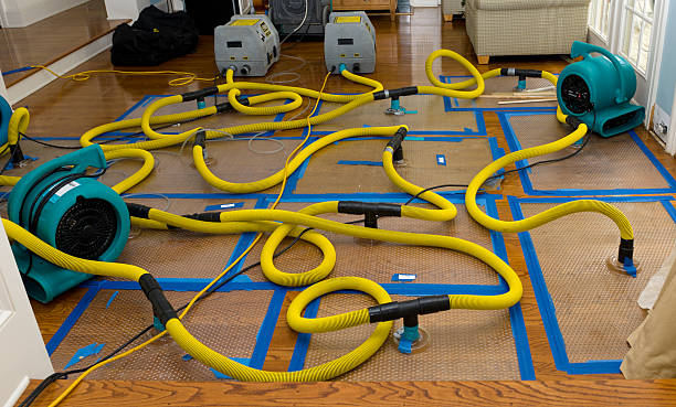 Professional Water Damage Restoration technician working in Dacula, GA